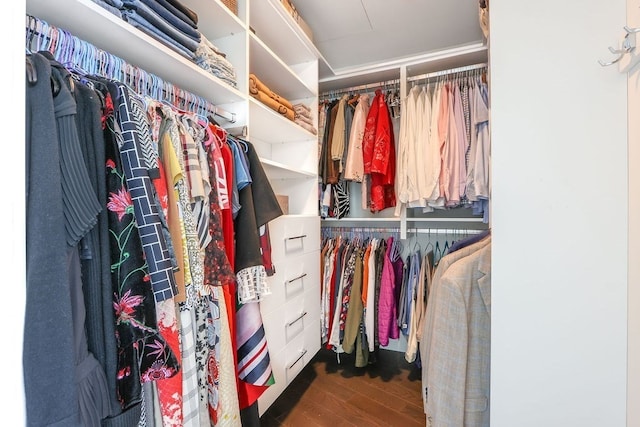 walk in closet with dark hardwood / wood-style flooring