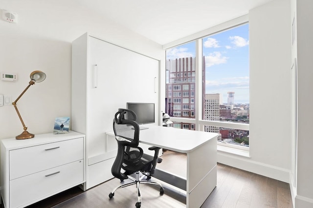 home office featuring dark wood-type flooring