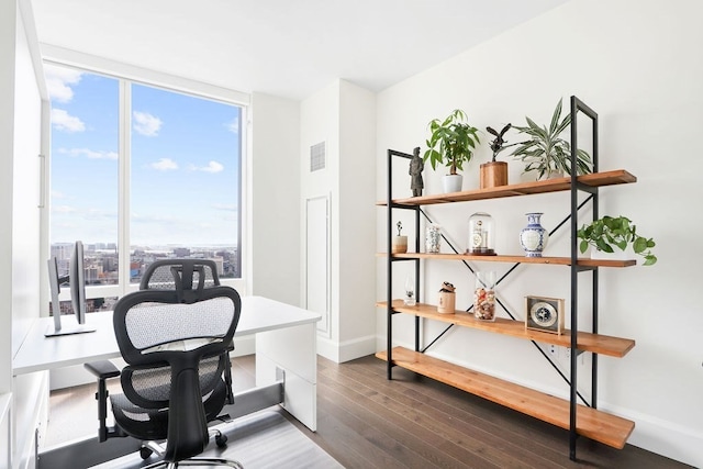 home office featuring dark hardwood / wood-style floors