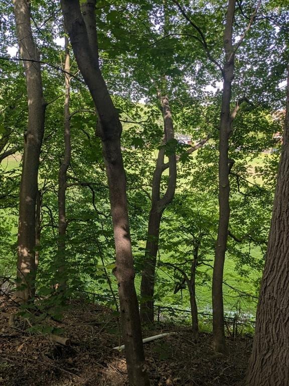 104 Oldham Rd, Newton, MA 02465