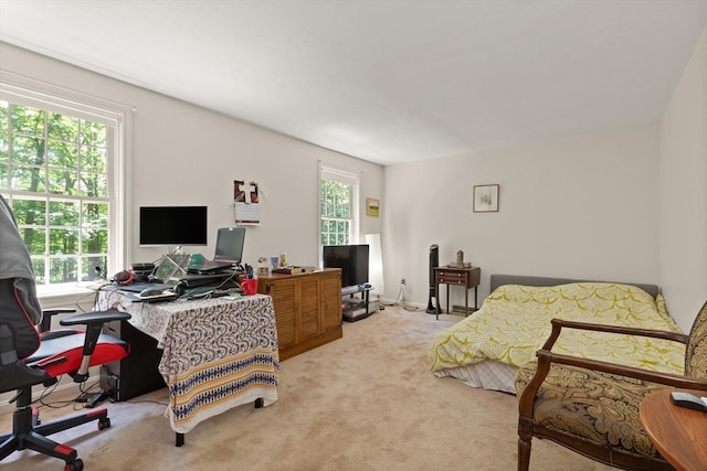 12 Robin Ln, Pepperell, MA 01463 - bedroom with multiple windows, a desk, and carpet flooring