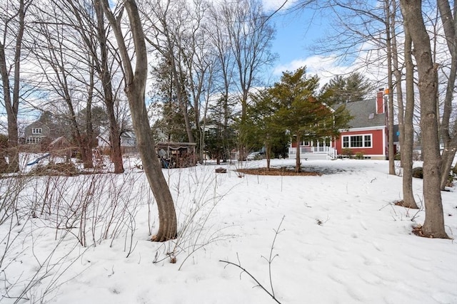 view of yard covered in snow