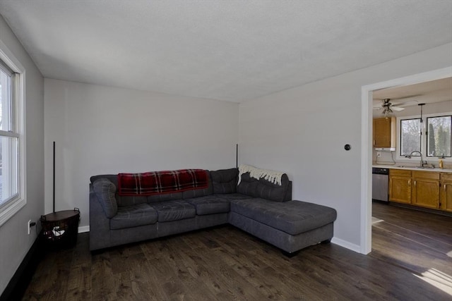 living room with dark wood-type flooring and sink