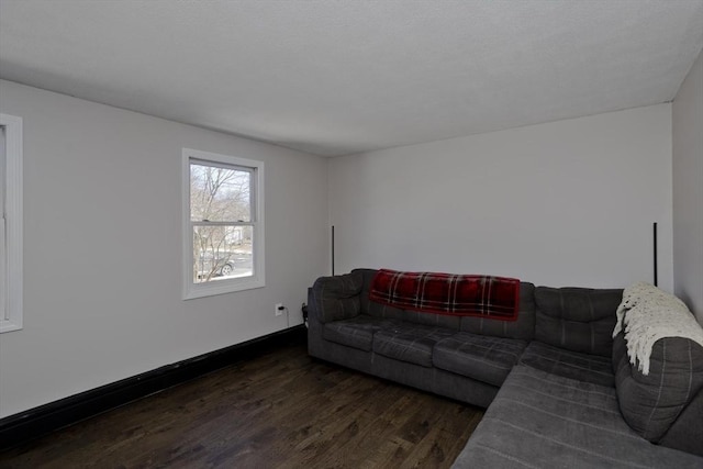 living room featuring dark hardwood / wood-style flooring