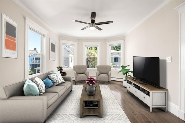 21 Searle Ave Unit 2, Brookline, MA 02445 - living area featuring wood finished floors, healthy amount of natural light, ceiling fan, a baseboard heating unit, and ornamental molding