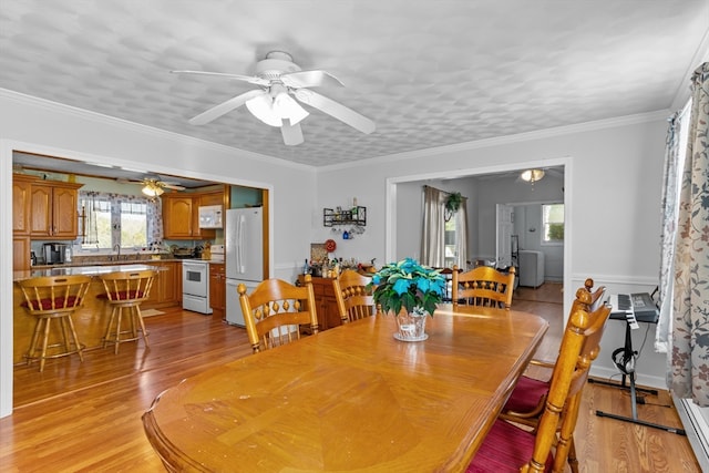 dining room featuring ceiling fan, light hardwood / wood-style floors, and ornamental molding