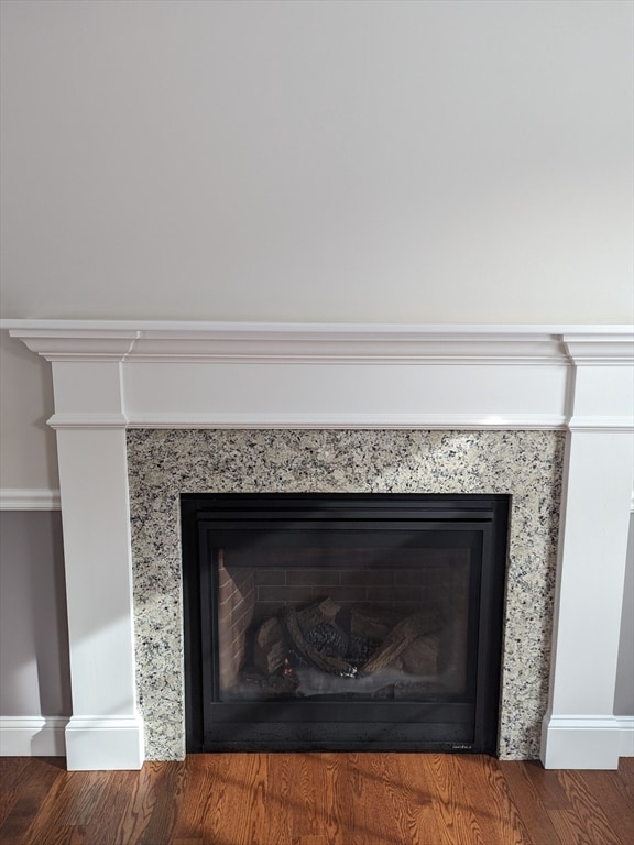 details with hardwood / wood-style floors and a fireplace