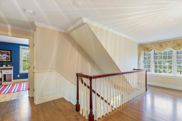 additional living space with a decorative wall, wainscoting, and wood finished floors