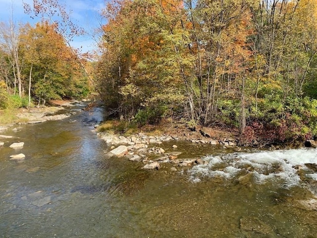 160 Water St Unit 212, Williamstown, MA 01267 - view of nature