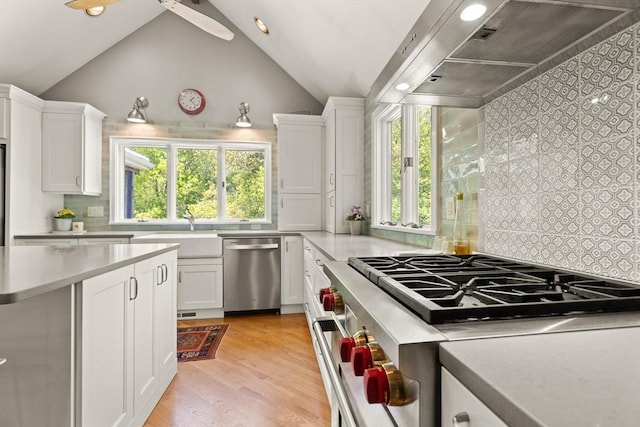 kitchen featuring appliances with stainless steel finishes, a sink, ventilation hood, white cabinets, and vaulted ceiling