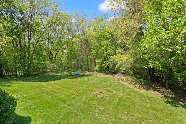 view of grassy yard
