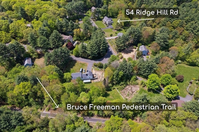 aerial view