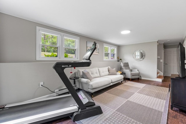 13 Shagbark Rd, Sandwich, MA 02644 - exercise area featuring dark wood-style floors, crown molding, and baseboards