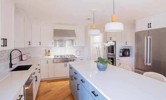 kitchen with range hood, appliances with stainless steel finishes, white cabinets, and a sink