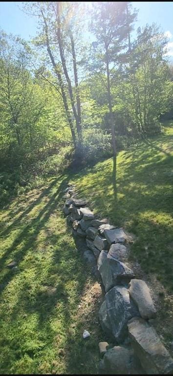 99 Dudley Rd, Oxford, MA 01540 - view of property's community featuring a yard