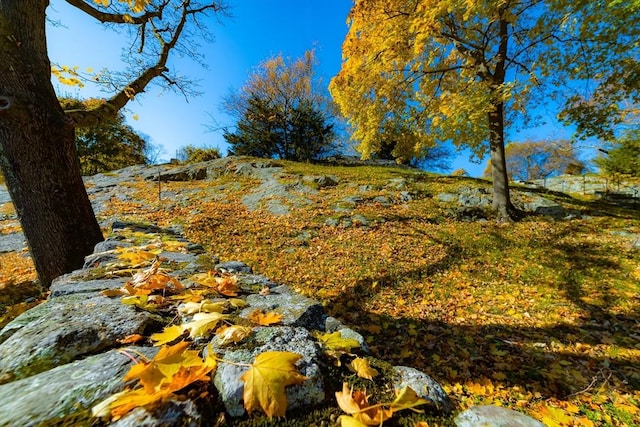 view of landscape