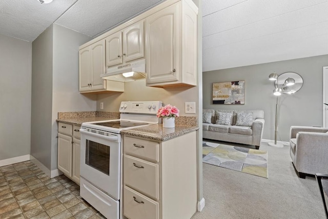 10 Foster St Unit 203, Wakefield, MA 01880 - kitchen with baseboards, open floor plan, under cabinet range hood, and electric range