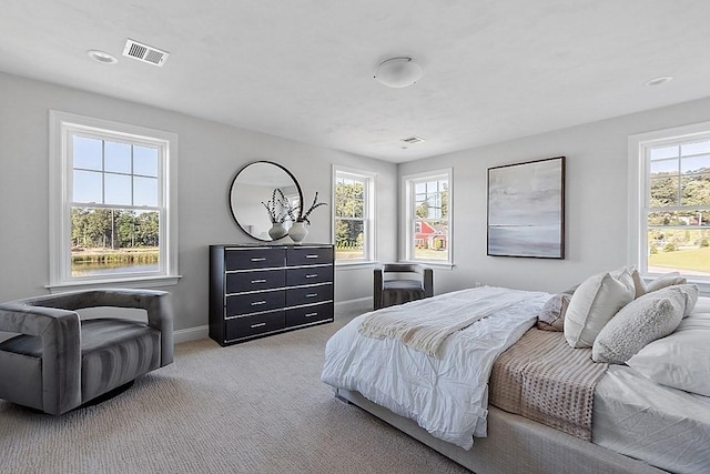 bedroom featuring carpet