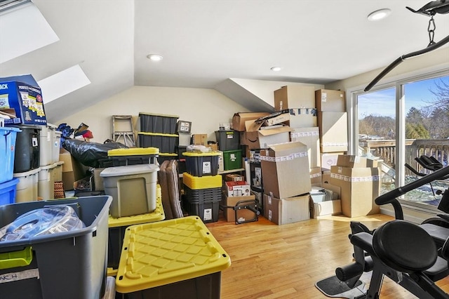 storage area featuring a skylight