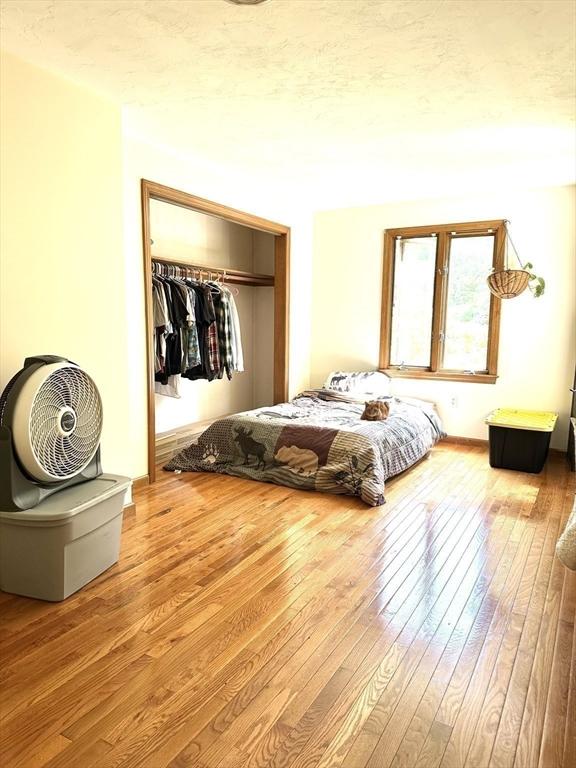 117 Metropolitan Ave Unit 117, Ashland, MA 01721 - bedroom with a closet and hardwood / wood-style flooring
