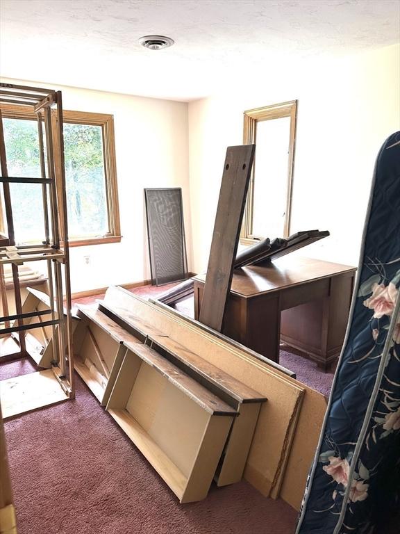 117 Metropolitan Ave Unit 117, Ashland, MA 01721 - misc room with carpet