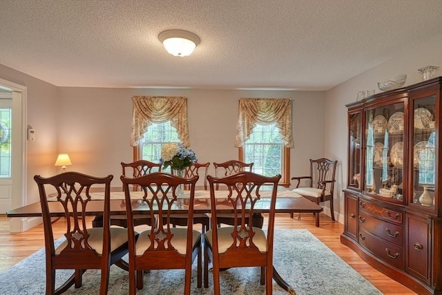 dining room with healthy amount of natural light, a textured ceiling, and light wood-type flooring