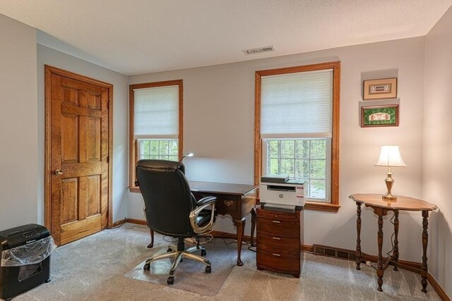 office with healthy amount of natural light, carpet floors, and baseboards