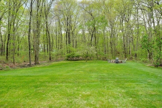 view of grassy yard