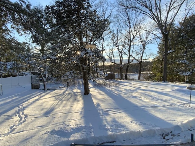 view of snowy yard