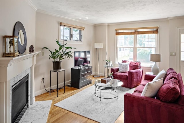 57 Alma Ave Unit 57, Belmont, MA 02478 - living area with wood finished floors, a high end fireplace, and crown molding