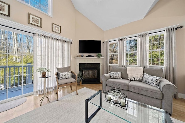 living room featuring a wealth of natural light, light hardwood / wood-style flooring, and high vaulted ceiling