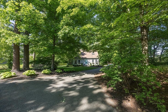 495 Creek St, Wrentham, MA 02093 - view of obstructed view of property