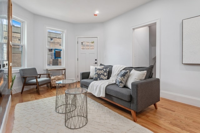 living room featuring light wood-type flooring