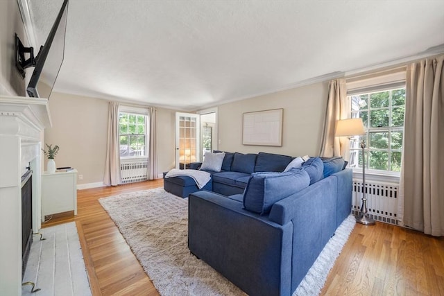 38 Fairmount Rd, Reading, MA 01867 - living area with radiator heating unit, healthy amount of natural light, light wood-style floors, and crown molding
