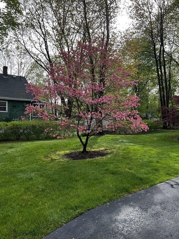 57 Clapp St, Walpole, MA 02081 - view of grassy yard