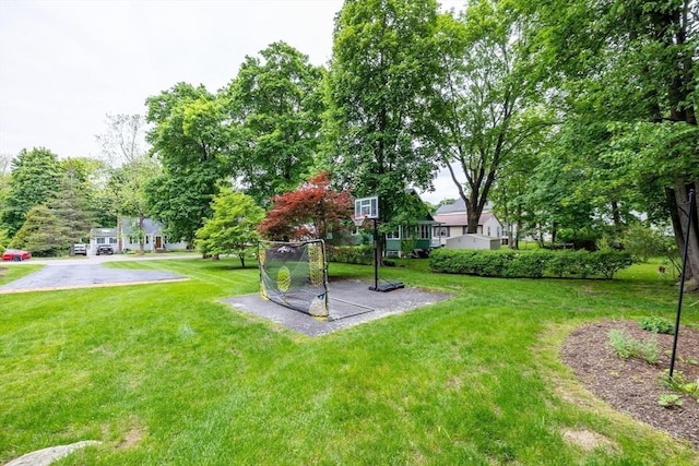 57 Clapp St, Walpole, MA 02081 - view of grassy yard
