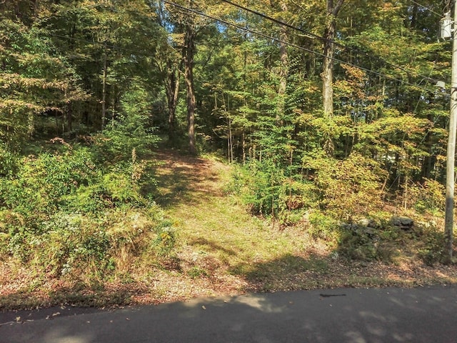 0 Bragg Rd, Warren MA, 01083 land for sale