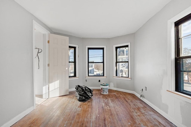 empty room with light hardwood / wood-style flooring and a wealth of natural light