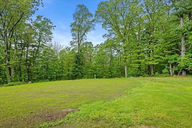 9 Lillian Rd, Acton, MA 01720 - view of green lawn featuring a wooded view