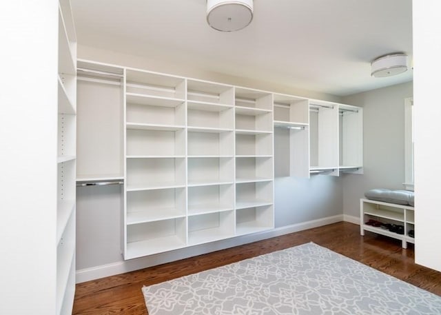 spacious closet featuring dark hardwood / wood-style floors