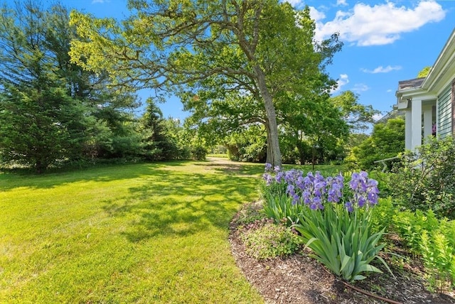 56 Bridle Path, Tisbury, MA 02567 - view of grassy yard