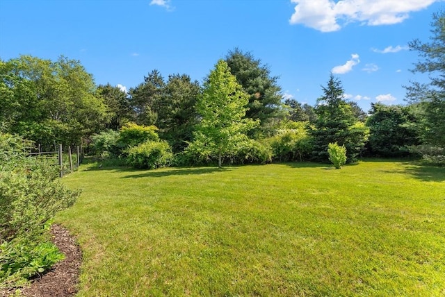 56 Bridle Path, Tisbury, MA 02567 - view of grassy yard