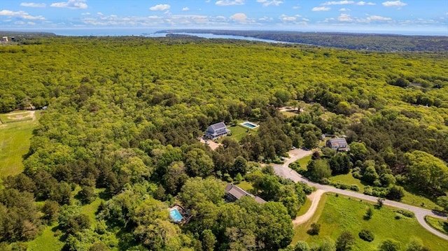 56 Bridle Path, Tisbury, MA 02567 - drone / aerial view of a heavily wooded area