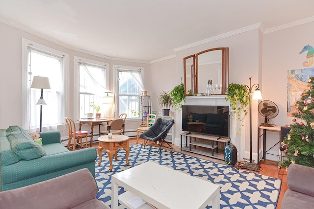 living area with wood finished floors, baseboards, and ornamental molding