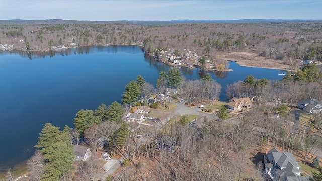 20 Bailey Shr, Hampstead, NH 03841 - aerial overview of property's location with a forest and a nearby body of water