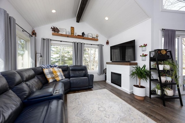 20 Bailey Shr, Hampstead, NH 03841 - living room featuring plenty of natural light, wood finished floors, recessed lighting, a glass covered fireplace, and baseboards