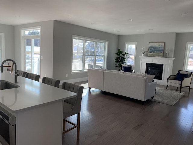 living room with dark hardwood / wood-style flooring and sink