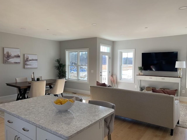 living room with light hardwood / wood-style floors