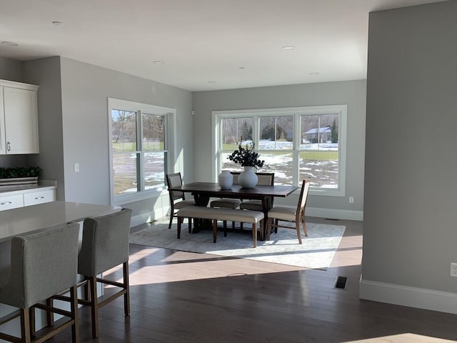 dining room with wood-type flooring and plenty of natural light