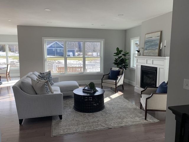 living room with dark wood-type flooring